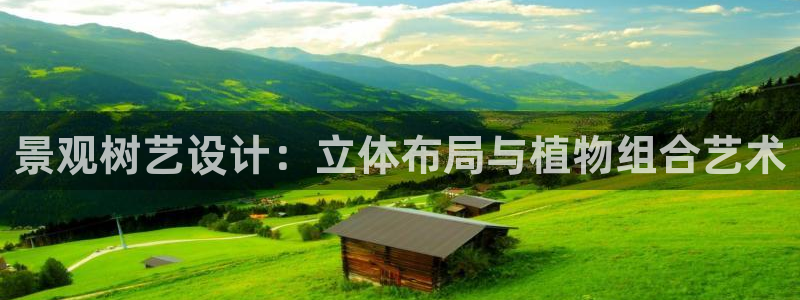 新宝gg为什么没人管