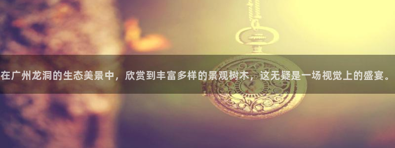 新宝gg主管开