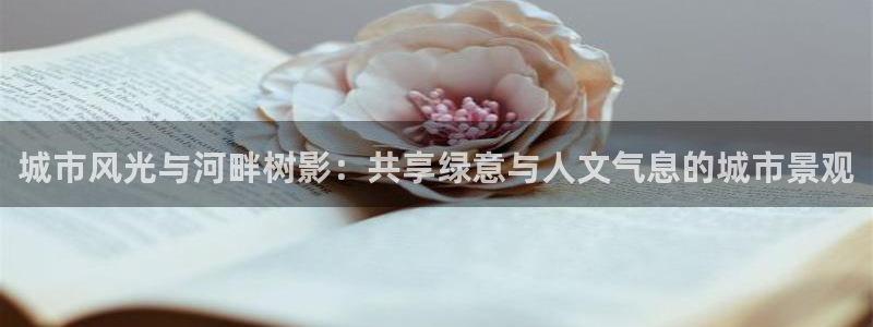 新宝gg网点