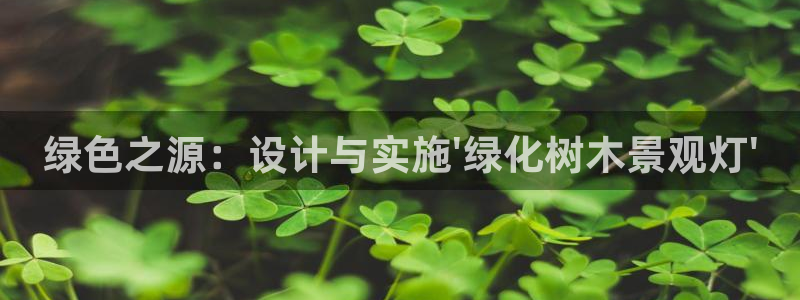 网站新宝GG