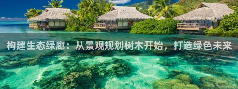 新宝gg推荐