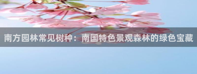 新宝gg如何注册