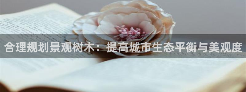 新宝gg娱乐注册