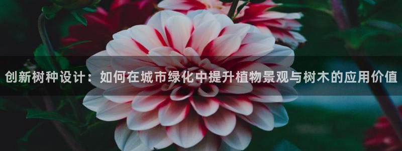 新宝gg注册平台