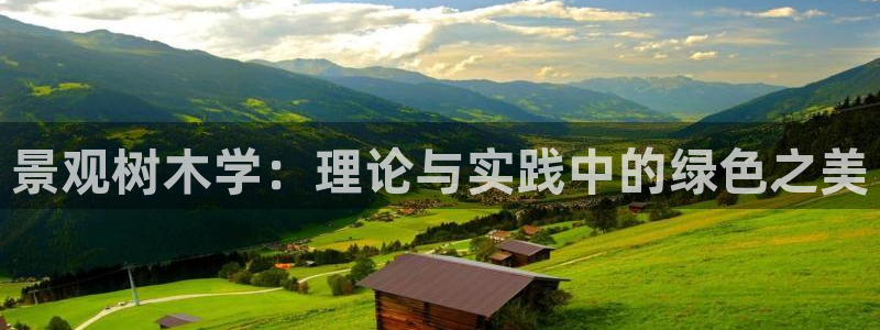 新宝gg手机版下载