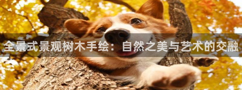 新宝gg扣钱