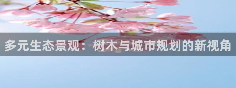 新宝GG手机客户端