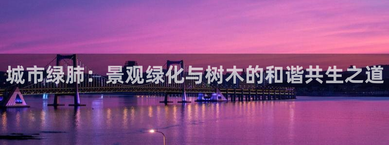 新宝gg娱乐官网