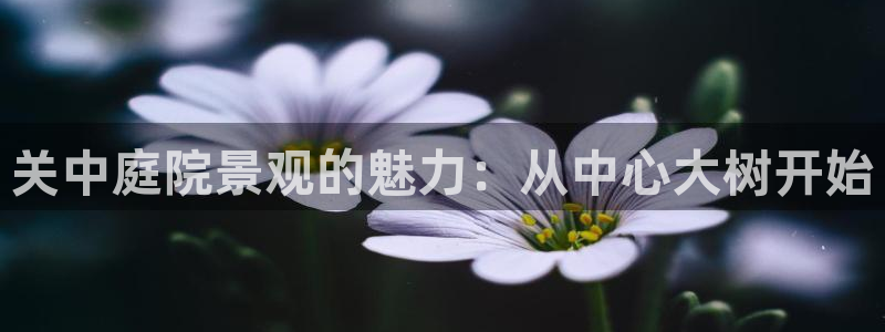 新宝GG电话