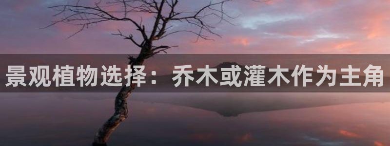 新宝GG最高返点多少