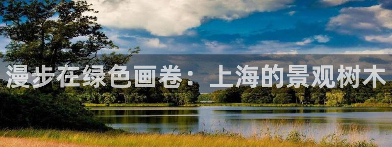 新宝gg下载