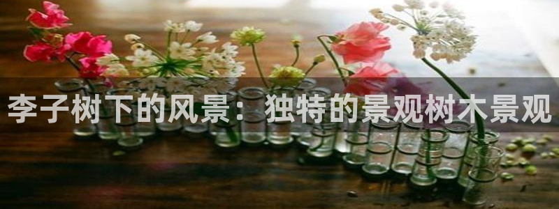 新宝GG于六七五一38