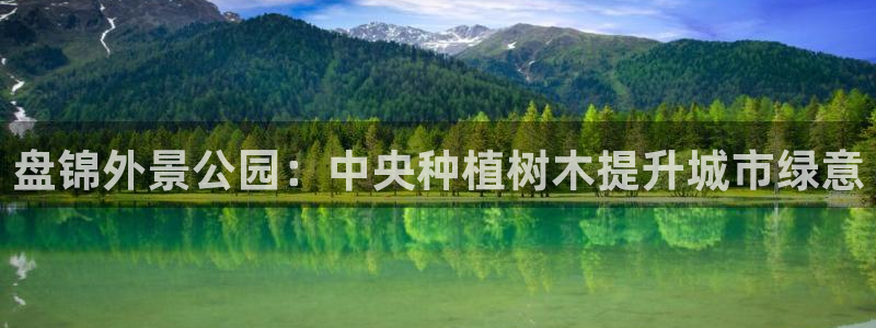 新宝gg怎么做代理