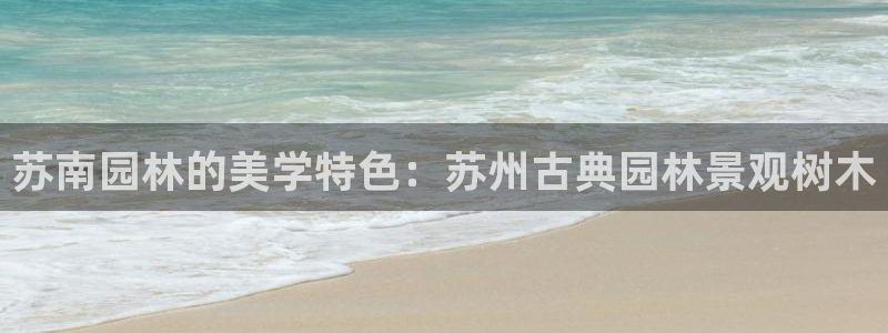 新宝gg招商致胜团队