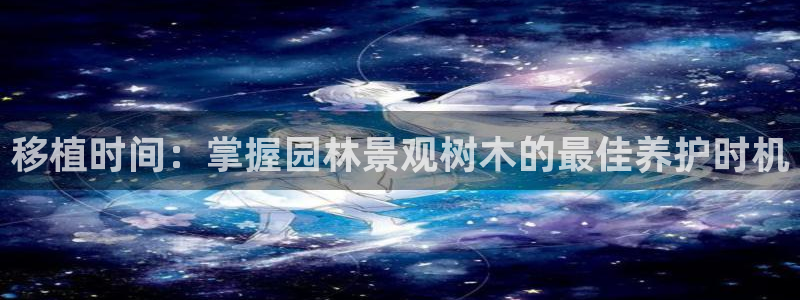 新宝gg挂机软件下载