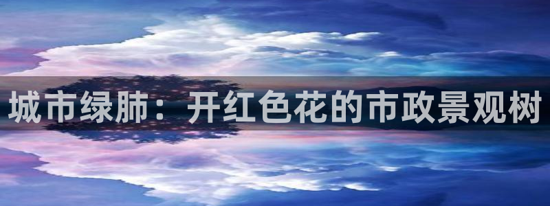 新宝六与新宝gg