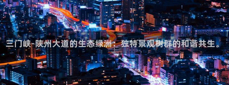 新宝gg娱乐怎么样