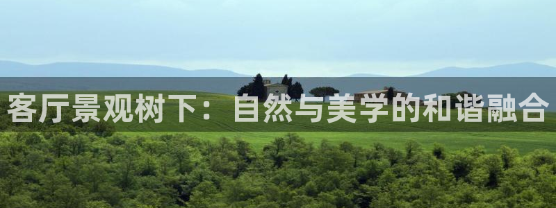 新宝gg推荐