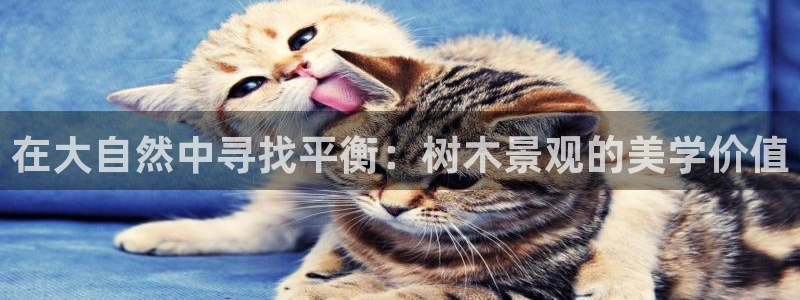 新宝gg平台开发
