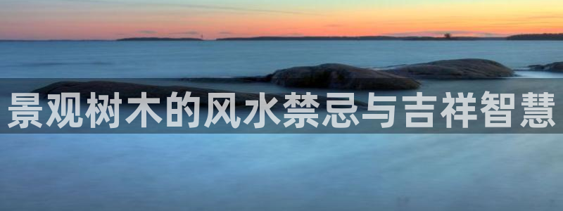 新宝gg平台反水