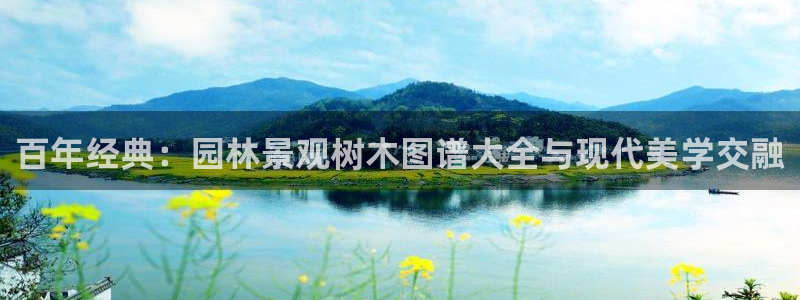 新宝gg创造奇迹平台