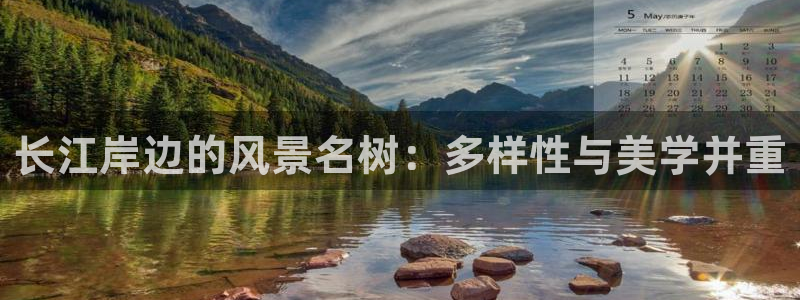 新宝GG娱乐下载