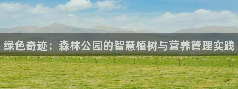 新宝gg客户端下载