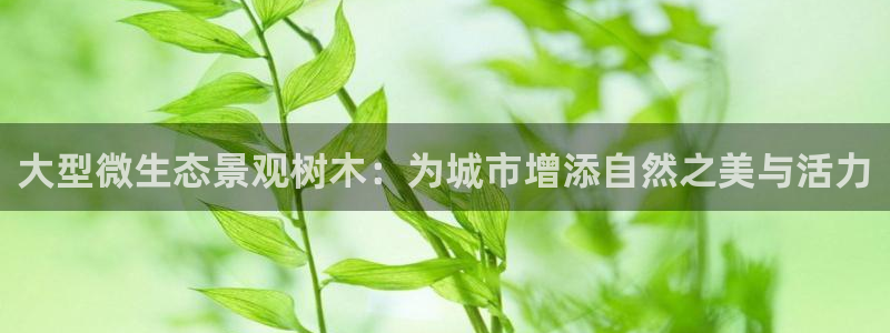 新宝gg画