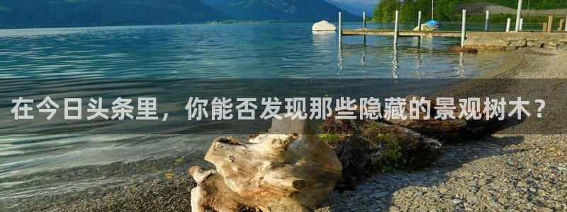 新宝gg如何代理