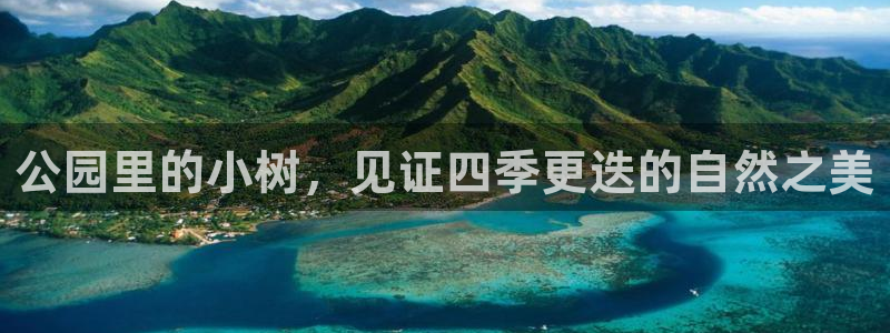 新宝gg推荐