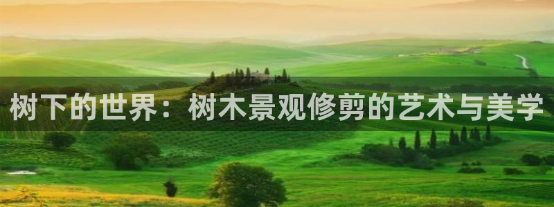 新宝gg开户
