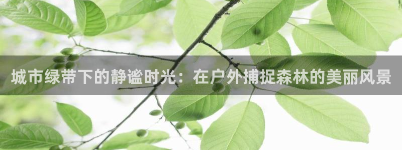 gg新宝创新