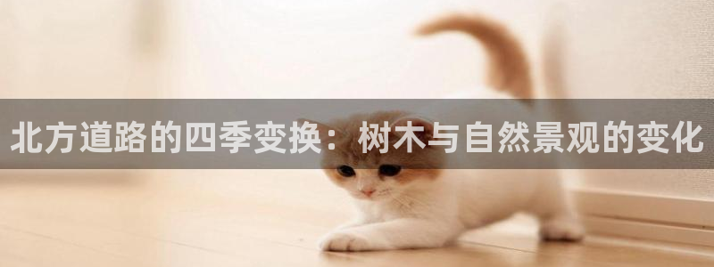新宝gg时时彩