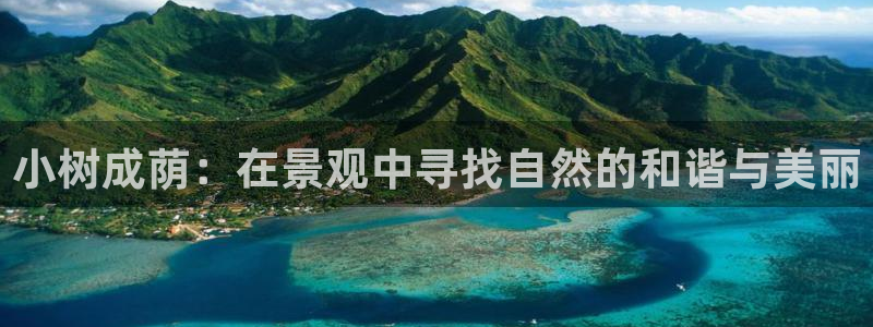 新宝GG玩家