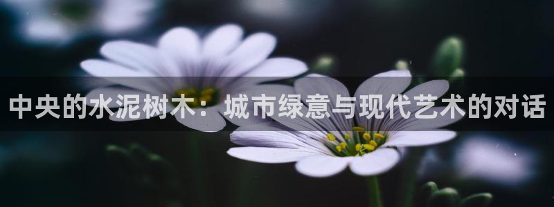 新宝gg登陆新