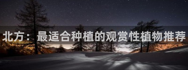 新宝集团gg：北方：最适合种植的观赏性植物推荐
