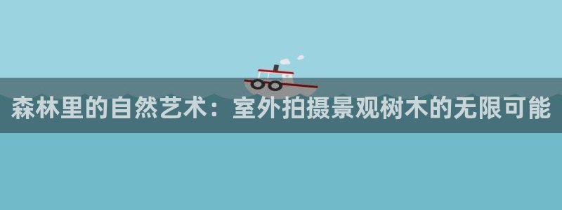 新宝gg注册首页：森林里的自然艺术：室外拍摄景观树木的无限可能
