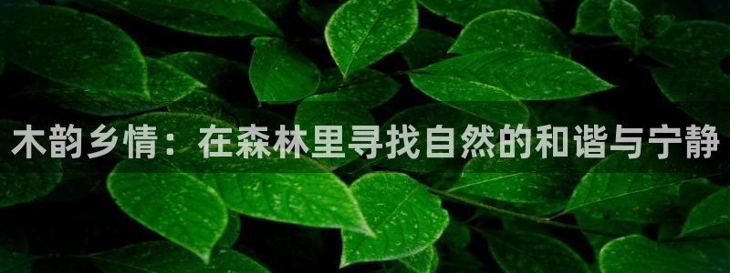 新宝gg挣钱：木韵乡情：在森林里寻找自然的和谐与宁静