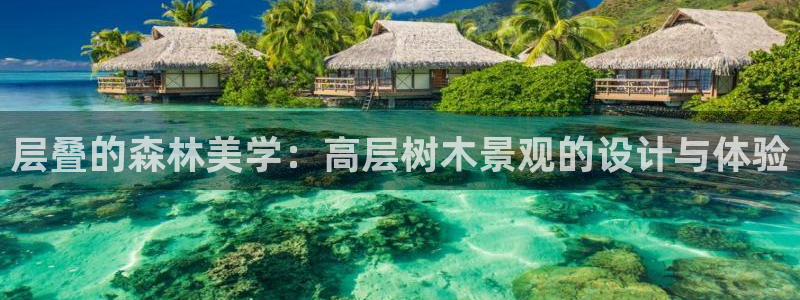 下载新宝gg怎么下载