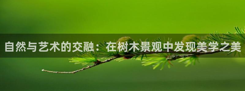 新宝GG 黑钱