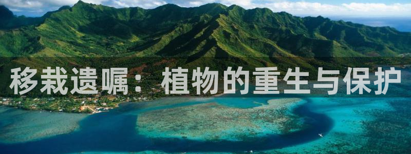 新宝GG娱乐下载：移栽遗嘱：植物的重生与保护