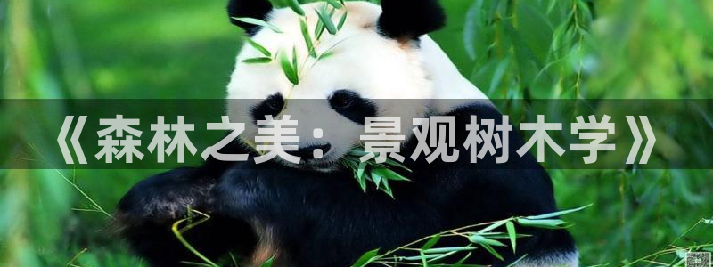 下载新宝gg怎么下载