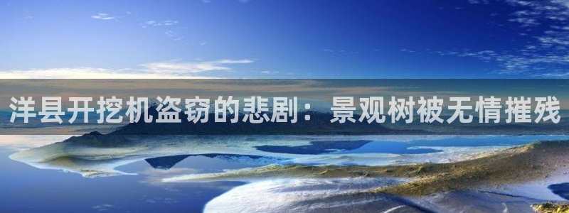 新宝gg赚钱：洋县开挖机盗窃的悲剧：景观树被无情摧残