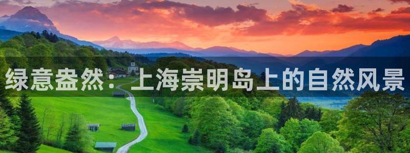 新宝gg登陆平台：绿意盎然：上海崇明岛上的自然风景