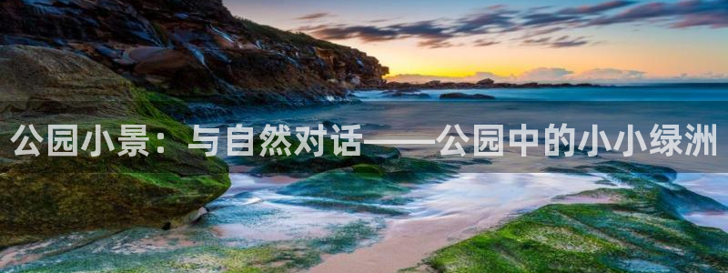 新宝gg会员登录：公园小景：与自然对话——公园中的小小绿洲