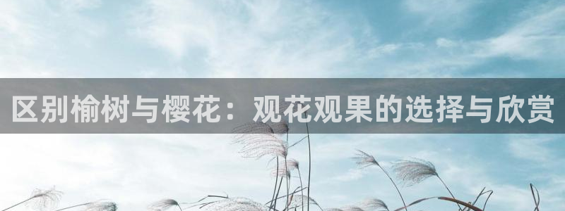 新宝GG娱乐-上皇巢网