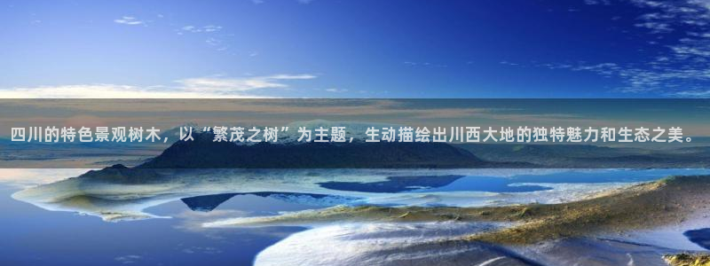 新宝gg正规