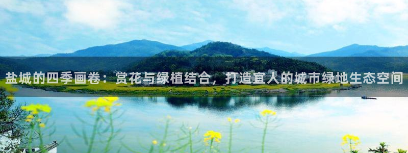 新宝gg好吗