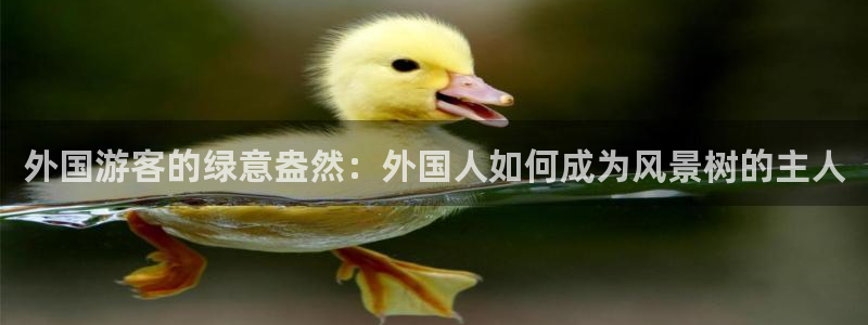 新宝太阳 gg