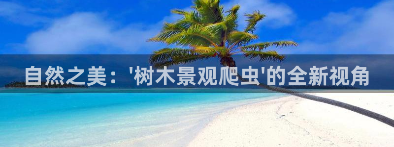 新宝一gg测速